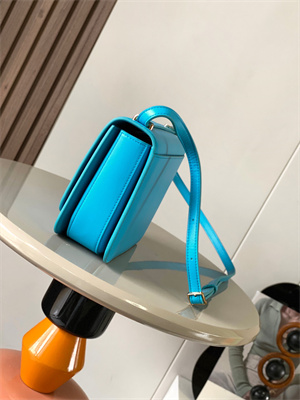 Loewe Goya Bag In Silk Calfskin