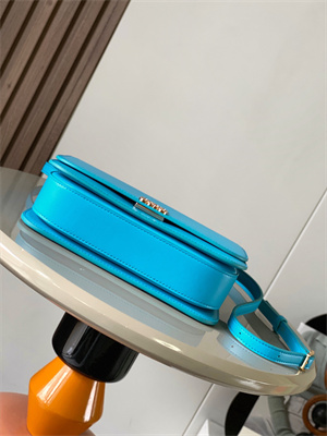 Loewe Goya Bag In Silk Calfskin