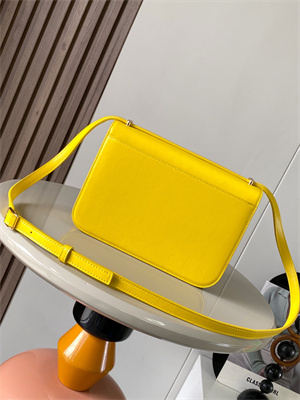 Loewe Goya Bag In Silk Calfskin