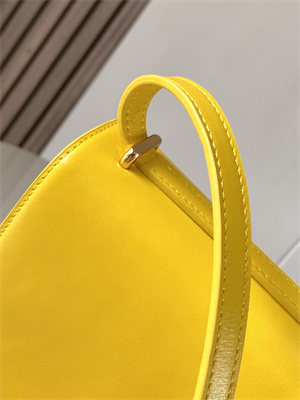 Loewe Goya Bag In Silk Calfskin