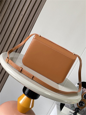 Loewe Goya Bag In Silk Calfskin