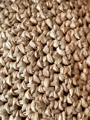 Loewe Mini Slit bag in raffia and calfskin