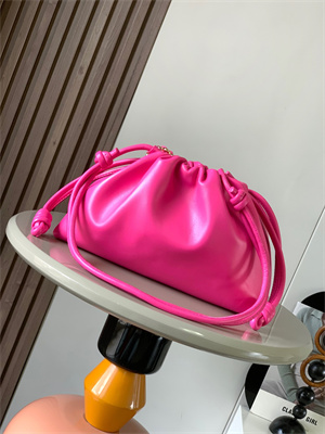 Loewe Medium Flamenco Purse in  Mellow nappa Lambskin