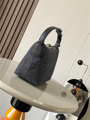 Loewe Cubi Bag In Anagram Jacquard and Calfskin