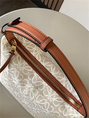 Loewe Cubi Bag In Anagram Jacquard and Calfskin