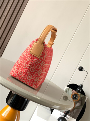 Loewe Cubi Bag In Anagram Jacquard and Calfskin