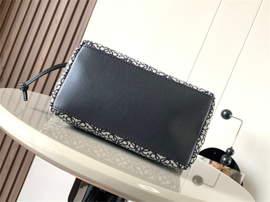 Loewe Cubi Bag In Anagram Jacquard and Calfskin