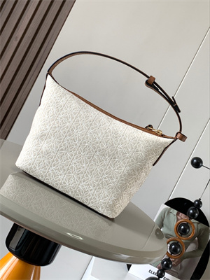 Loewe Cubi Bag In Anagram Jacquard and Calfskin