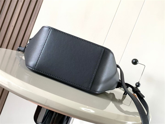 Loewe Mini Hammock Hobo bag in classic calfskin