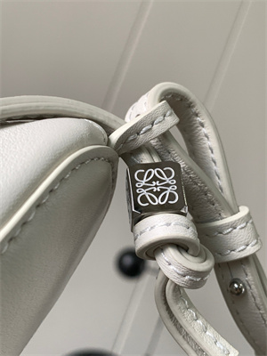 Loewe Mini Hammock Hobo bag in classic calfskin