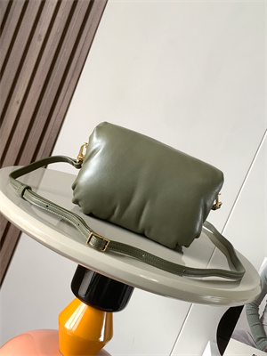 Loewe Puffer Goya bag in shiny nappa lambskin