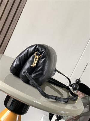 Loewe Puffer Goya bag in shiny nappa lambskin