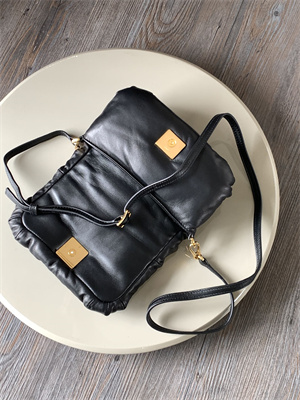 Loewe Puffer Goya bag in shiny nappa lambskin