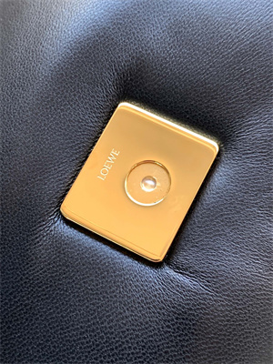 Loewe Mini Puffer Goya bag in shiny nappa lambskin