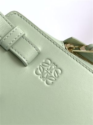 Loewe Compact Hammock bag in satin calfskin With Jacquard Strap