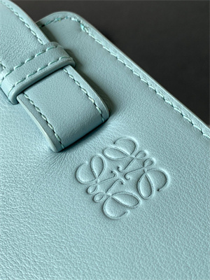 Loewe Compact Hammock bag in satin calfskin With Jacquard Strap