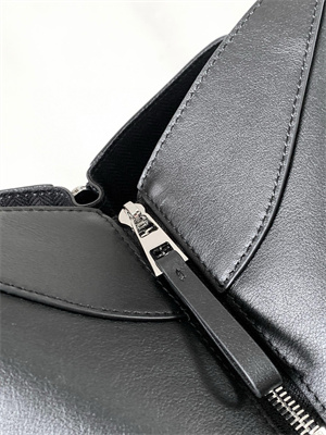 Loewe Compact Hammock bag in Classic calfskin With Jacquard Strap