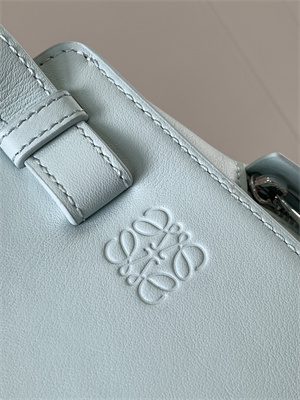 Loewe Compact Hammock bag in Classic calfskin