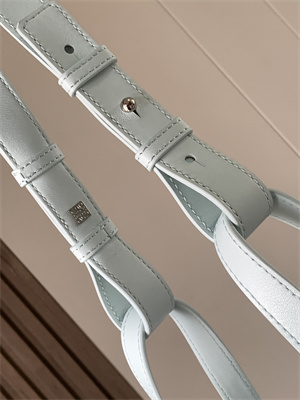 Loewe Compact Hammock bag in Classic calfskin