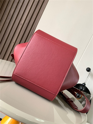 Loewe Compact Hammock bag in Classic calfskin