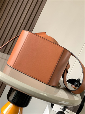 Loewe Compact Hammock bag in Classic calfskin