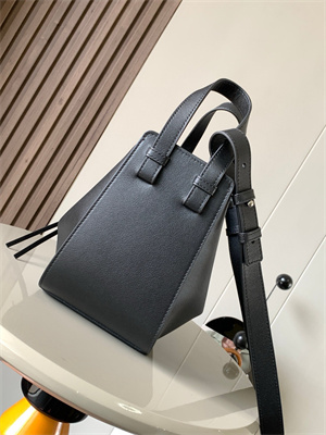 Loewe Compact Hammock bag in Classic calfskin