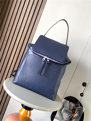 Loewe Goya Backpack In Silk Calfskin Navy Blue
