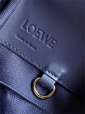 Loewe Compact Hammock bag in satin calfskin With Jacquard Strap