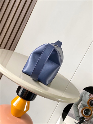 Loewe Puzzle Fold Wash Bag In Shinny Calfskin