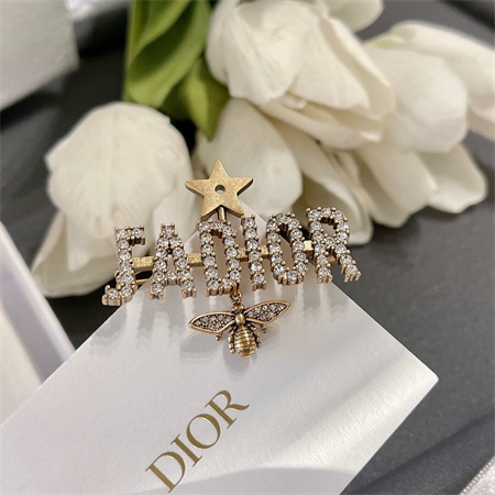Dior Brooch 33179