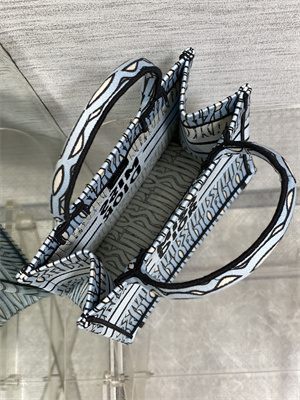 CD Miss Dior Small Book Tote Allover Emb Pale Blue