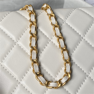 Chanel Waist Bag Shiny Lambskin, Enamel & Gold-Tone Metal White AS4113