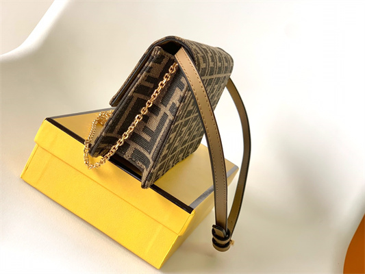 Fen.di WOC Baguette FF Fabric Brown