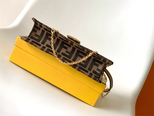 Fen.di WOC Baguette FF Fabric Brown