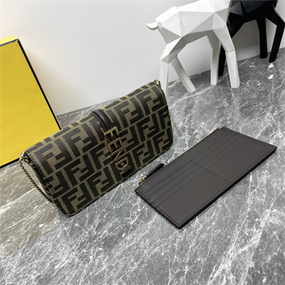 Fendigraphy Chain Wallet FF Fabric Brown