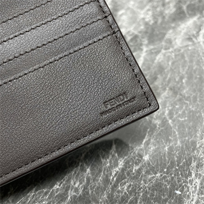 Fendigraphy Chain Wallet FF Fabric Brown