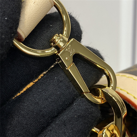 L.V Dauphine Soft GM Monogram Canvas M47149