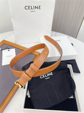 Celine Triomphe Belt 25MM Calfskin Gold Tone Metal Brown