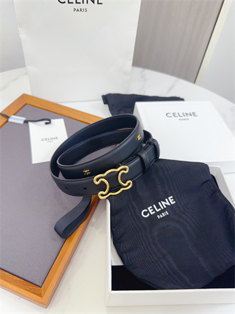 Celine Triomphe Belt 25MM Calfskin Gold Tone Metal Black