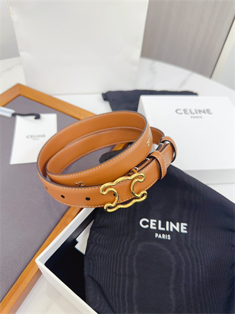 Celine Triomphe Belt 25MM Calfskin Gold Tone Metal Brown