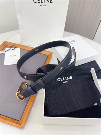 Celine Triomphe Belt 25MM Calfskin Gold Tone Metal Black