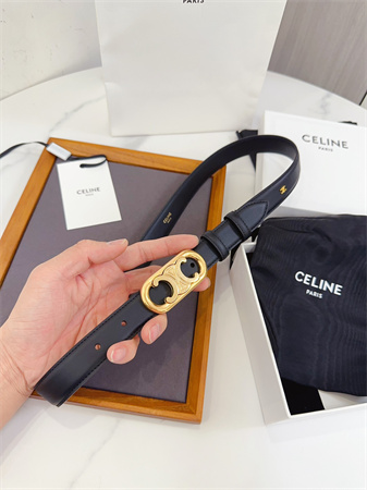 Celine Triomphe Belt 25MM Calfskin Gold Tone Metal Black