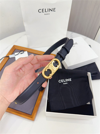 Celine Triomphe Belt 25MM Calfskin Gold Tone Metal Black