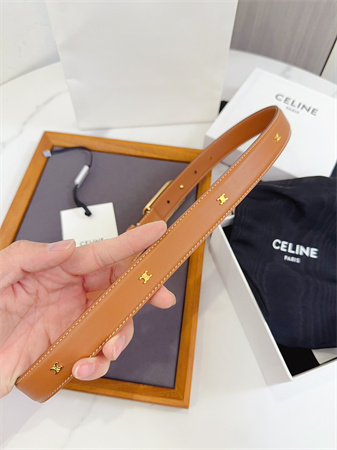 Celine Triomphe Belt 25MM Calfskin Gold Tone Metal Brown