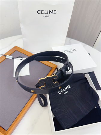 Celine Triomphe Belt 25MM Calfskin Gold Tone Metal Black