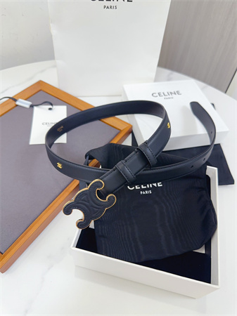 Celine Triomphe Belt 25MM Calfskin Gold Tone Metal Black