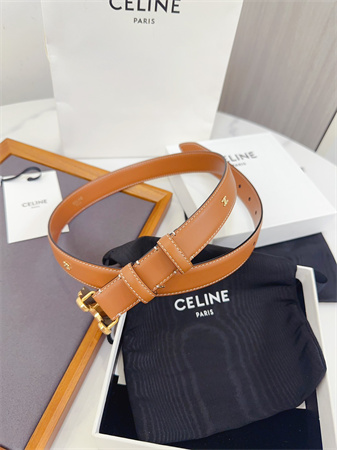 Celine Triomphe Belt 25MM Calfskin Gold Tone Metal Brown