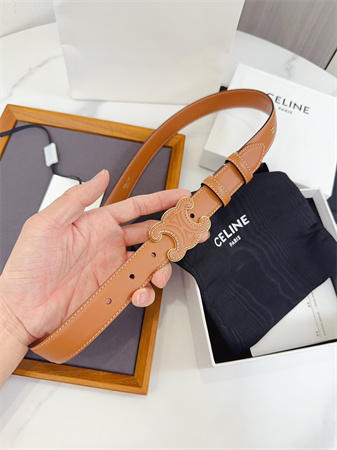 Celine Triomphe Belt 25MM Calfskin Gold Tone Metal Brown