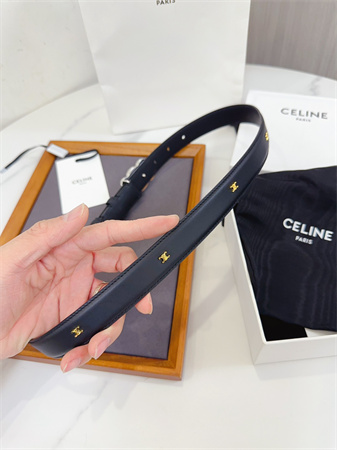 Celine Triomphe Belt 25MM Calfskin Silver Tone Buckle Black