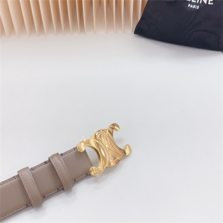 Celine Triomphe Belt 34MM Calfskin Shinny Gold Tone Buckle Grey
